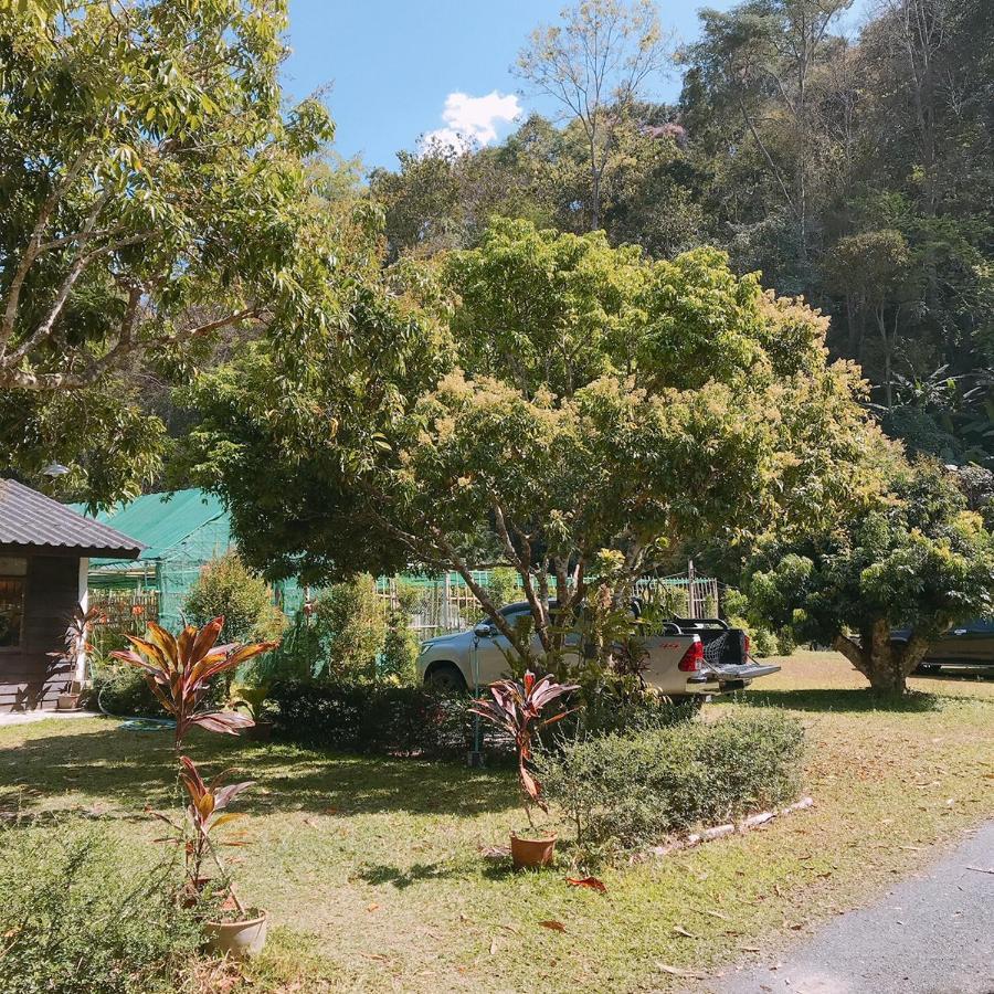 Hotel สวนฉัน Igarden Ban Pang Champi Zewnętrze zdjęcie