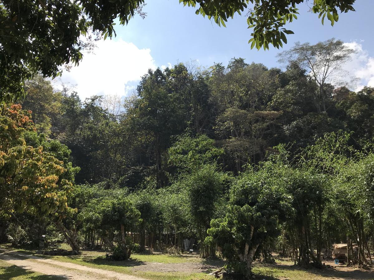 Hotel สวนฉัน Igarden Ban Pang Champi Zewnętrze zdjęcie